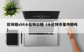 区块链xbt小比特公链（小比特币是传销吗）