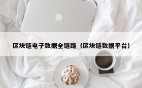 区块链电子数据全链路(区块链数据平台)