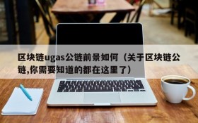 区块链ugas公链前景如何(关于区块链公链,你需要知道的都在这里了)