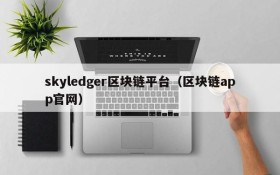 skyledger区块链平台(区块链app官网)