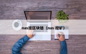 nas挂区块链(nas 挖矿)