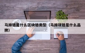马蹄链是什么区块链类型(马蹄项链是什么品牌)