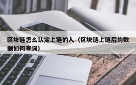 区块链怎么认定上链的人(区块链上链后的数据如何查询)
