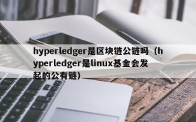 hyperledger是区块链公链吗(hyperledger是linux基金会发起的公有链)