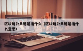 区块链公共链是指什么(区块链公共链是指什么意思)
