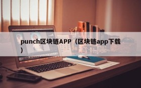 punch区块链APP(区块链app下载)