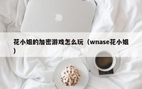花小姐的加密游戏怎么玩(wnase花小姐)
