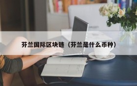 芬兰国际区块链(芬兰是什么币种)