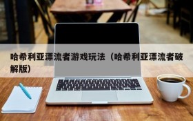 哈希利亚漂流者游戏玩法(哈希利亚漂流者破解版)