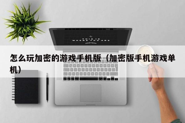 怎么玩加密的游戏手机版（加密版手机游戏单机）