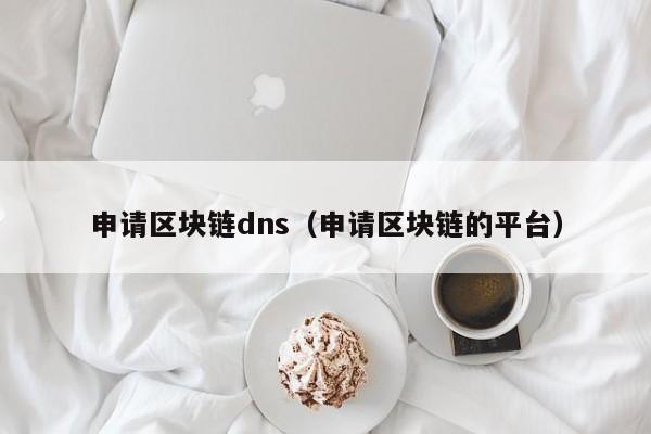 申请区块链dns（申请区块链的平台）