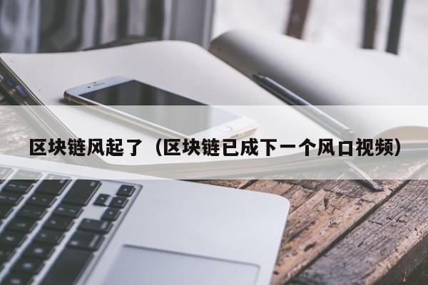 区块链风起了（区块链已成下一个风口视频）