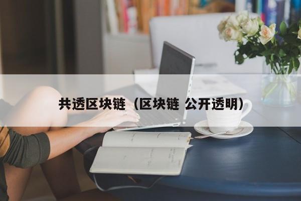 共透区块链（区块链 公开透明）