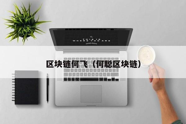 区块链何飞（何聪区块链）