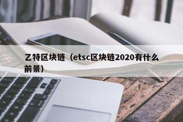 乙特区块链（etsc区块链2020有什么前景）