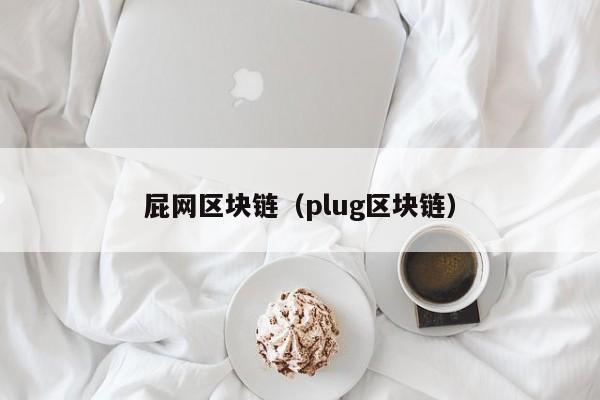 屁网区块链（plug区块链）