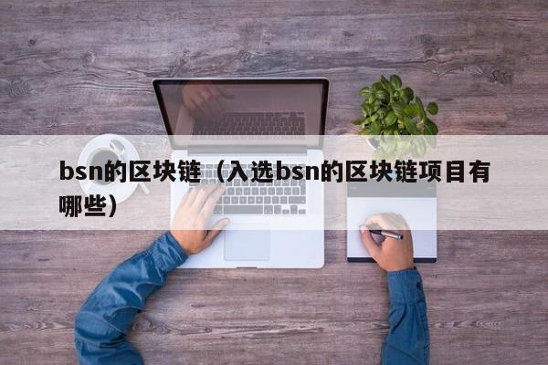 bsn的区块链（入选bsn的区块链项目有哪些）