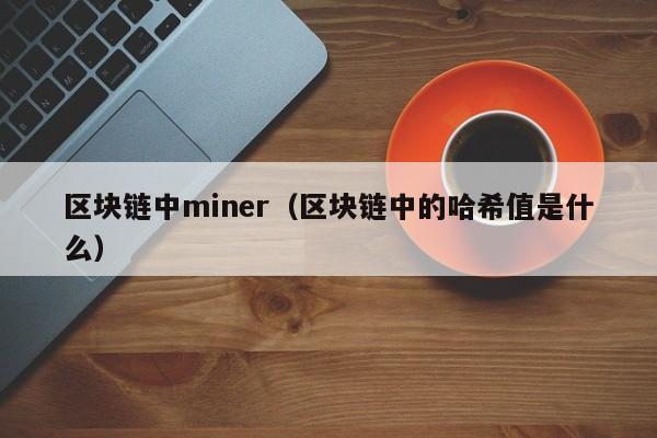 区块链中miner（区块链中的哈希值是什么）