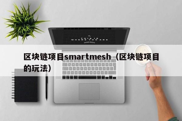 区块链项目smartmesh（区块链项目的玩法）