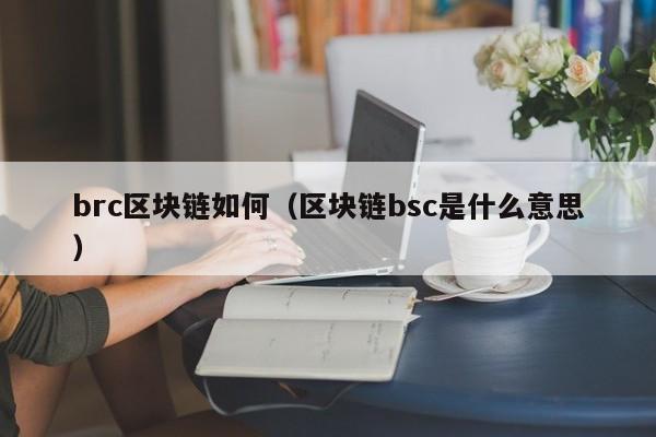brc区块链如何（区块链bsc是什么意思）