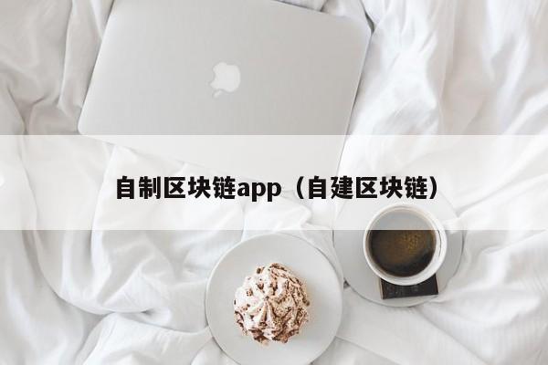 自制区块链app（自建区块链）