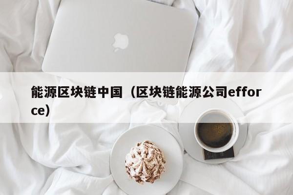 能源区块链中国（区块链能源公司efforce）