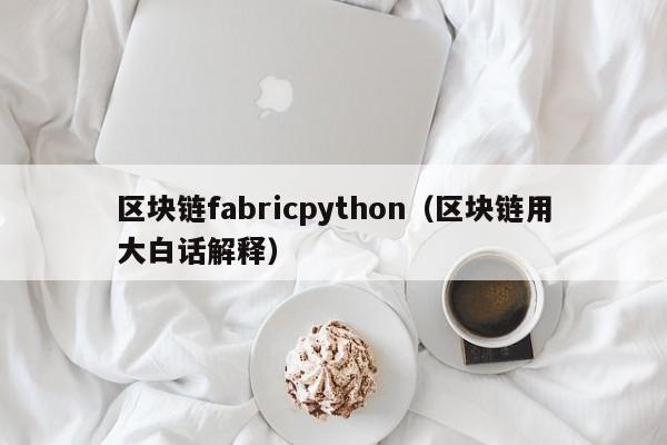 区块链fabricpython（区块链用大白话解释）