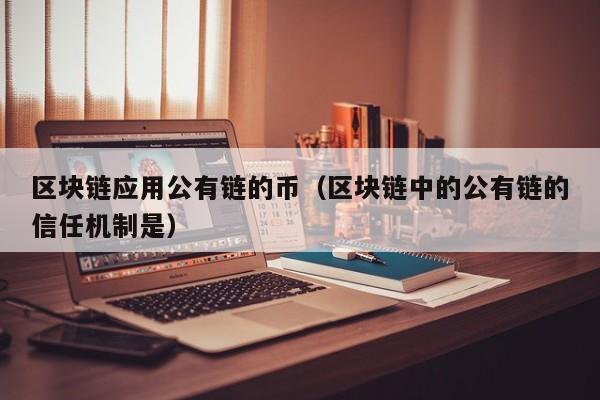 区块链应用公有链的币（区块链中的公有链的信任机制是）