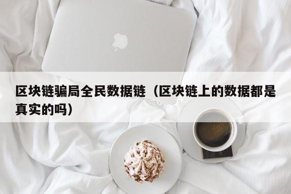区块链骗局全民数据链（区块链上的数据都是真实的吗）