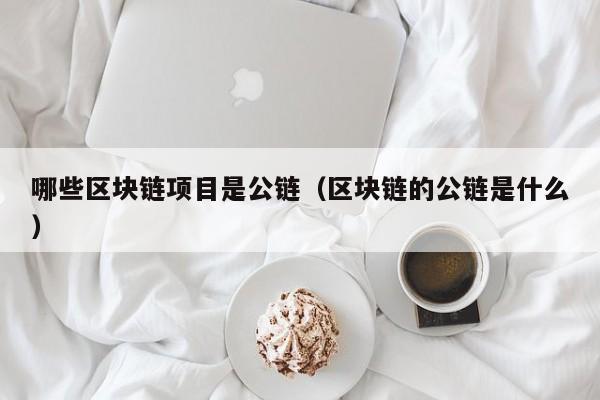 哪些区块链项目是公链（区块链的公链是什么）