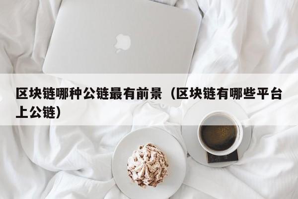 区块链哪种公链最有前景（区块链有哪些平台上公链）