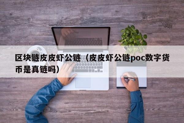 区块链皮皮虾公链（皮皮虾公链poc数字货币是真链吗）