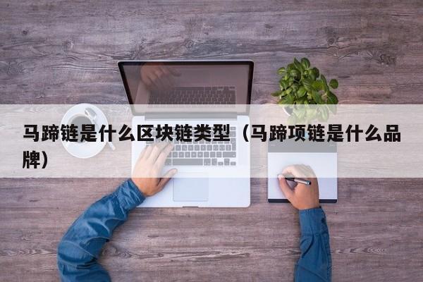 马蹄链是什么区块链类型（马蹄项链是什么品牌）