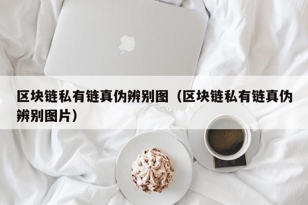 区块链私有链真伪辨别图（区块链私有链真伪辨别图片）