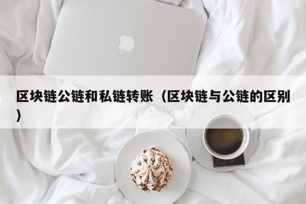 区块链公链和私链转账（区块链与公链的区别）