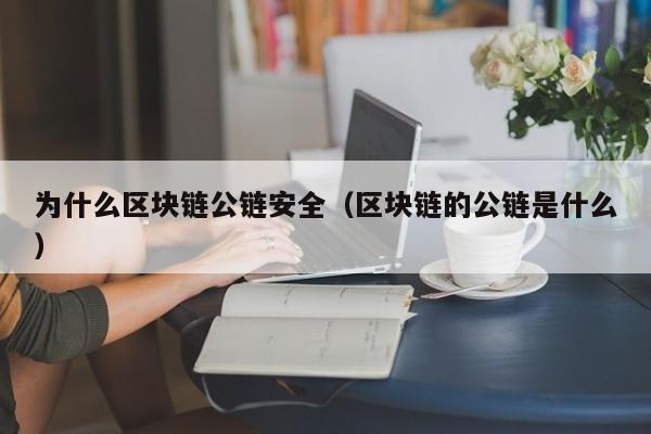 为什么区块链公链安全（区块链的公链是什么）