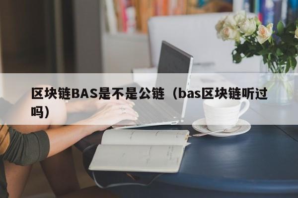 区块链BAS是不是公链（bas区块链听过吗）