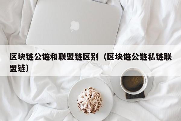 区块链公链和联盟链区别（区块链公链私链联盟链）