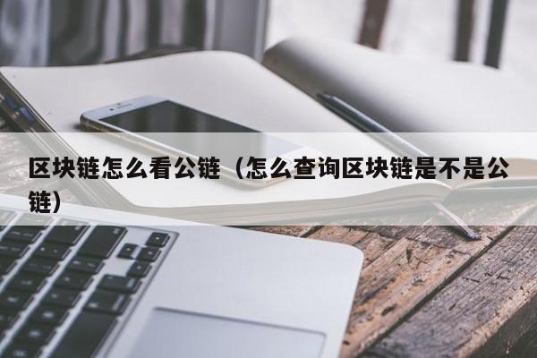 区块链怎么看公链（怎么查询区块链是不是公链）