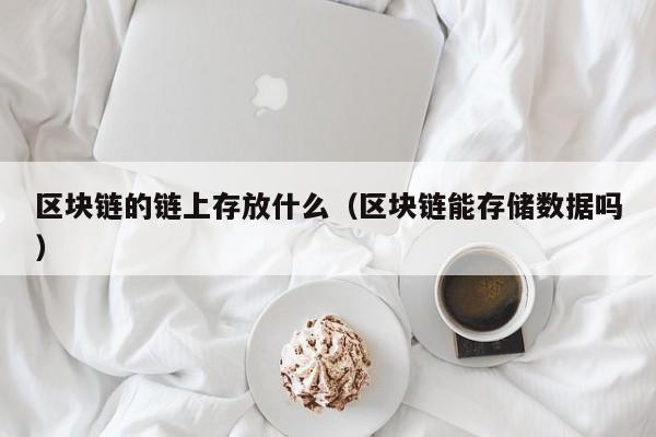 区块链的链上存放什么（区块链能存储数据吗）