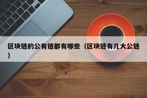 区块链的公有链都有哪些（区块链有几大公链）