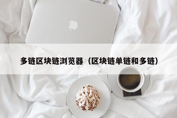 多链区块链浏览器（区块链单链和多链）