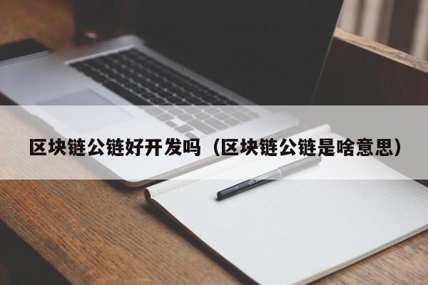 区块链公链好开发吗（区块链公链是啥意思）