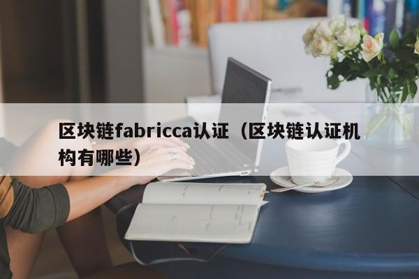 区块链fabricca认证（区块链认证机构有哪些）