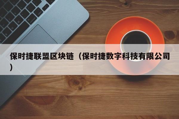 保时捷联盟区块链（保时捷数字科技有限公司）
