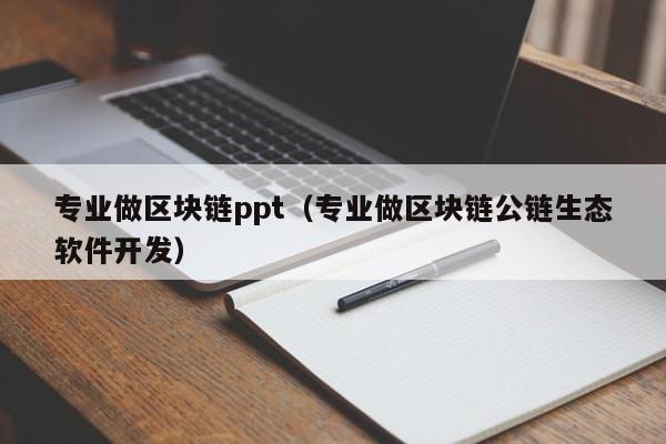 专业做区块链ppt（专业做区块链公链生态软件开发）
