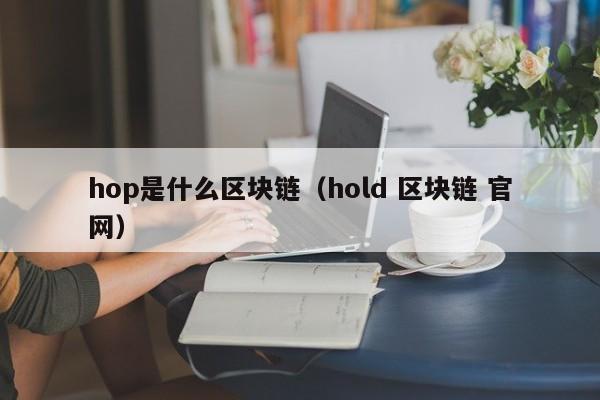 hop是什么区块链（hold 区块链 官网）