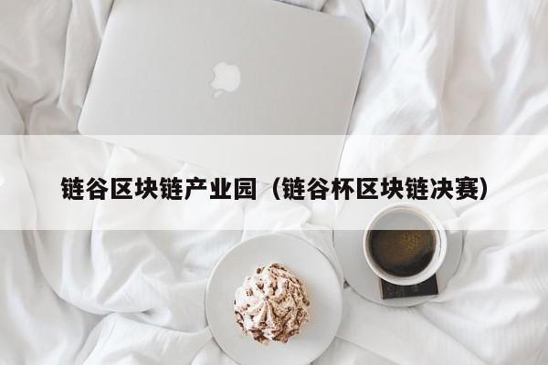 链谷区块链产业园（链谷杯区块链决赛）
