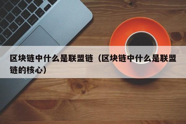 区块链中什么是联盟链（区块链中什么是联盟链的核心）
