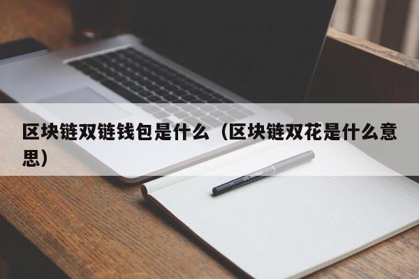 区块链双链钱包是什么（区块链双花是什么意思）